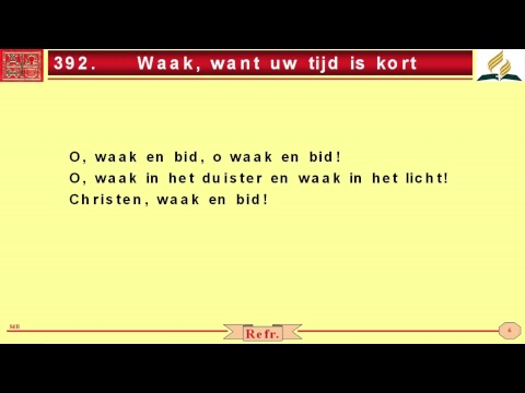 Live stream ZDA Rotterdam-Zuid.