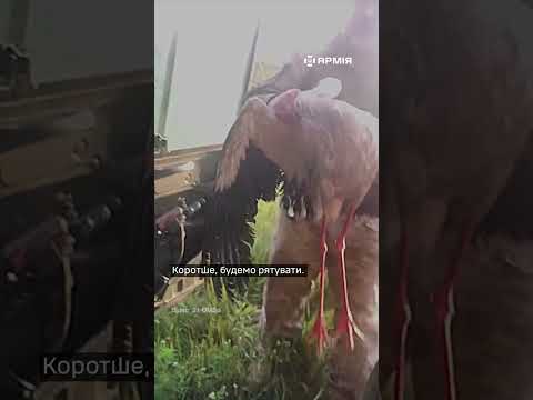 🕊️ Бійці 21 бригади врятували лелеку