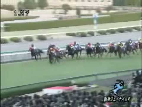 2008 阪神ジュベナイルフィリーズ HANSHIN JUVENILE FILLIES
