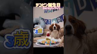 デコピン】 3歳の誕生日おめでとう🎂#大谷翔平 #decoy
