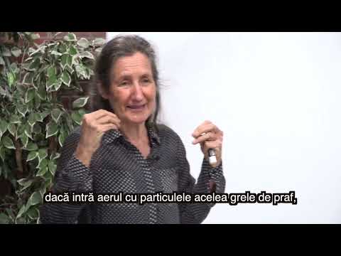Sistemul Imunitar | Barbara O'Neill (România)