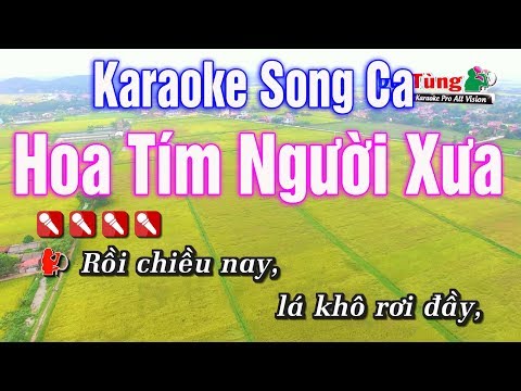 Karaoke || Hoa Tím Người Xưa Song Ca || Nhạc Sống Duy Tùng