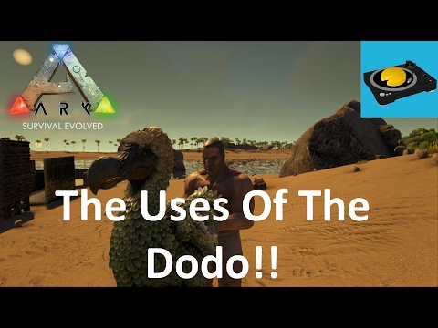 Ark Insight - The Many Uses Of The Dodo!!!