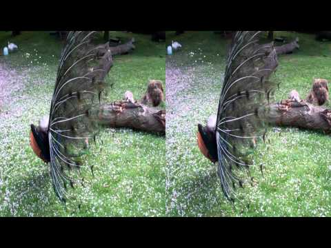 Harry Roy - Greenland Medley (Parlophone, 1935)