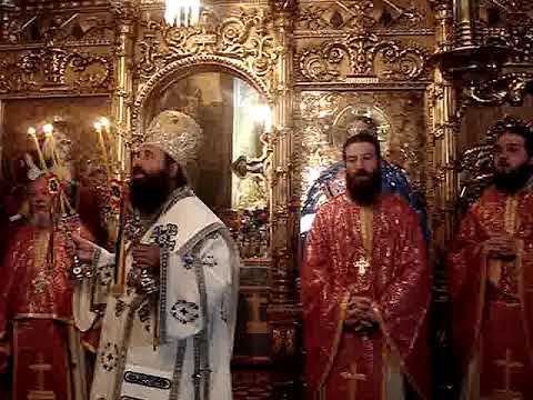 Doamne,Doamne ... PS Sebastian Ilfoveanul