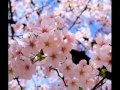 Chrisye Sakura Dalam Pelukan