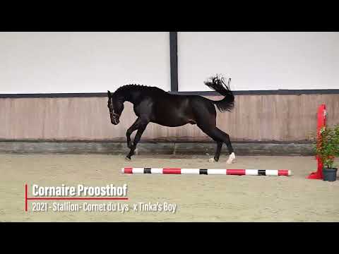 Cornaire Proosthof