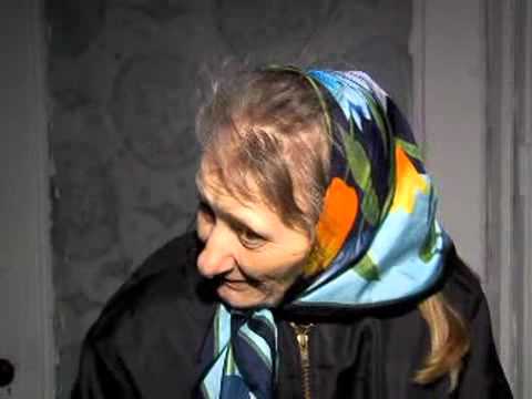 Willard woman talks about cats