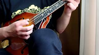 Video thumbnail for Kentucky KM-505 Artist A-model Mandolin – Amberburst by のほ