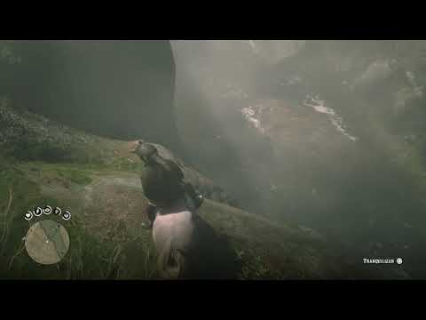 Localización andaluz perlino