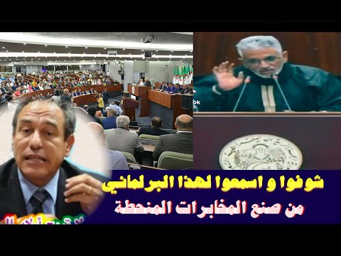 شوفوا و اسمعوا لهذا البرلماني من صنع المخابرات المنحطة