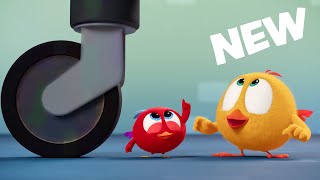 NEW Chicky Goes Shopping | Where's Chicky? | Cartoon Collection in English for Kids | New episodes