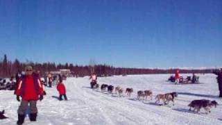 preview picture of video 'Iditarod 2011  #3 Ray Redington, Jr. from Wasilla, Alaska'