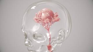 Sleep Party People - Album Teaser