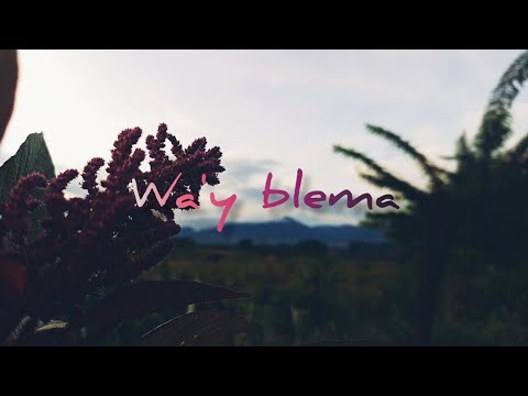 "Wa'y Blema" Music Video