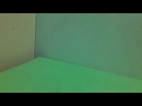 SUCE MA BITE SALE CHIENNE!!!