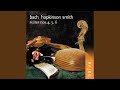 6 Cello Suites, No. 6 in D Major, BWV 1012: II. Allemande (Arr. for Lute)