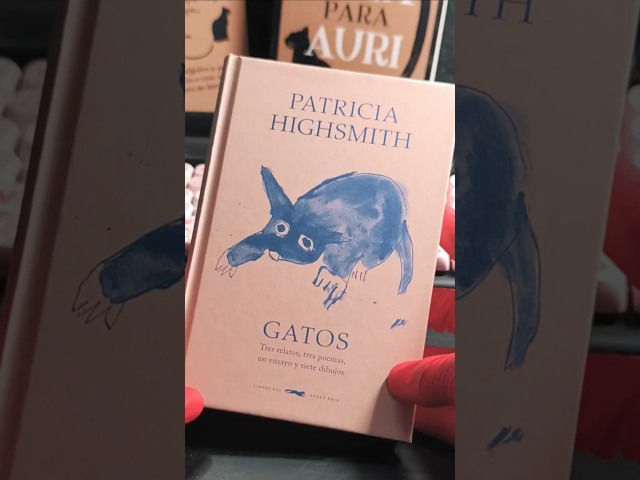 Vídeo relacionado con Algo más que un gato