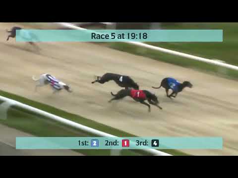 Saturday 22nd July 2023 - Coral Sussex Cup & Premier Greyhound Racing Regency Semi Finals