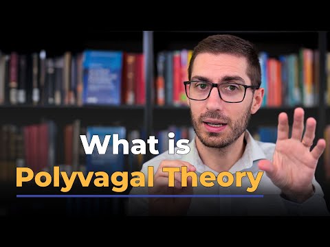 Was ist die Polyvagal-Theorie?