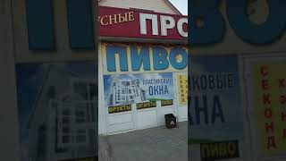 Клев рыбы елань волгоградской области