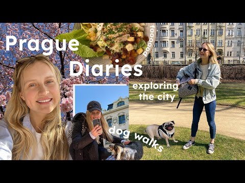 prague diaries // coffee dates, thrifting, sunny days, university life, spring