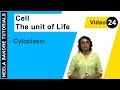 Cell The Unit Of Life NEET Cytoplasm Neela Bakore Tutorials