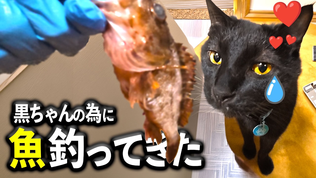 釣った魚あげたら、泣くほど喜んだｗｗ