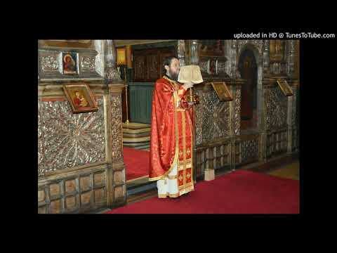 Părintele Teofil Roman    20.11.2016    Pilda bogatului căruia i-a rodit țarina   Priveghere