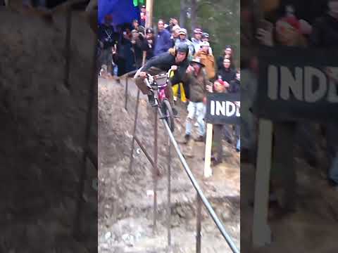 Highlights from the Independent Swamp Rail from Swampfest 2024 #skateboarding #bmx #swampfest