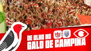 DE OLHO NO GALO DE CAMPINA - CRB X CSA