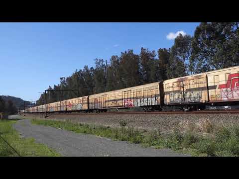 SCT013 / SCT015 / CSR010 with SCT Logistics 6BM9 - 28/9/19