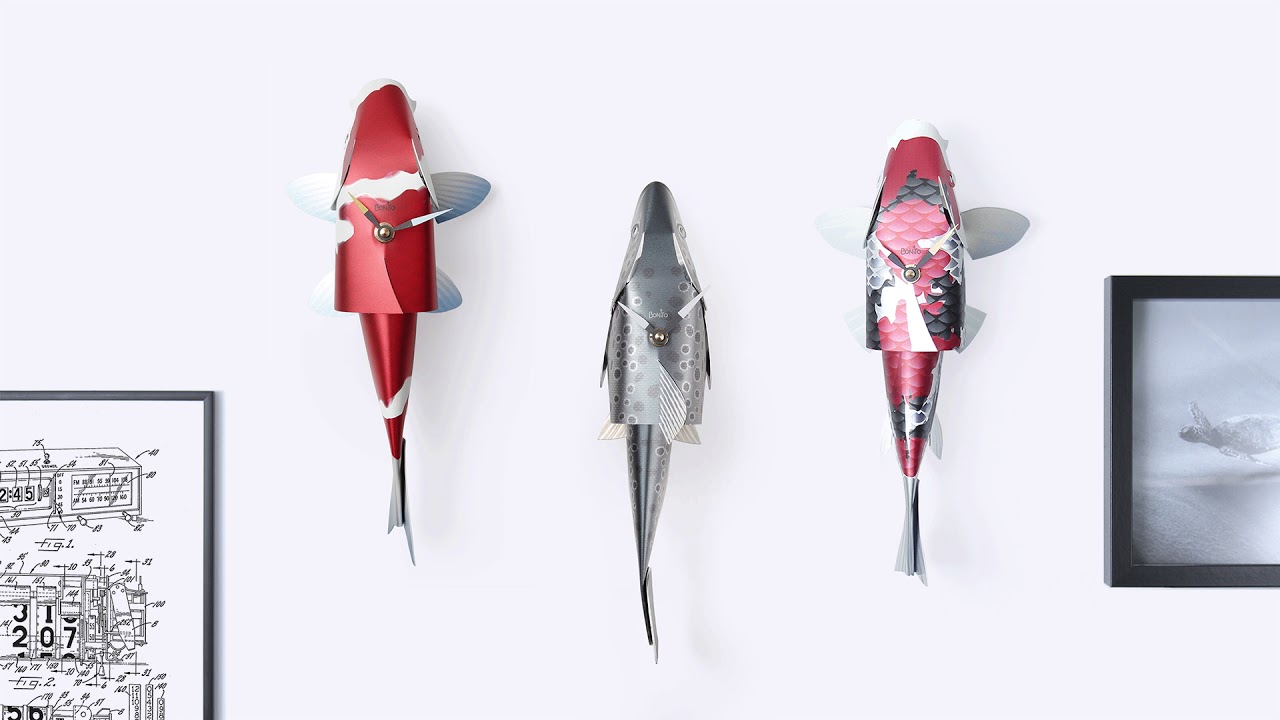 Shark Tony Bonito video thumbnail