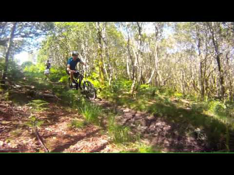 Alex Wild doing his thing