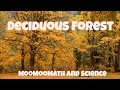 The Best 10 Tropical Deciduous Forest Location