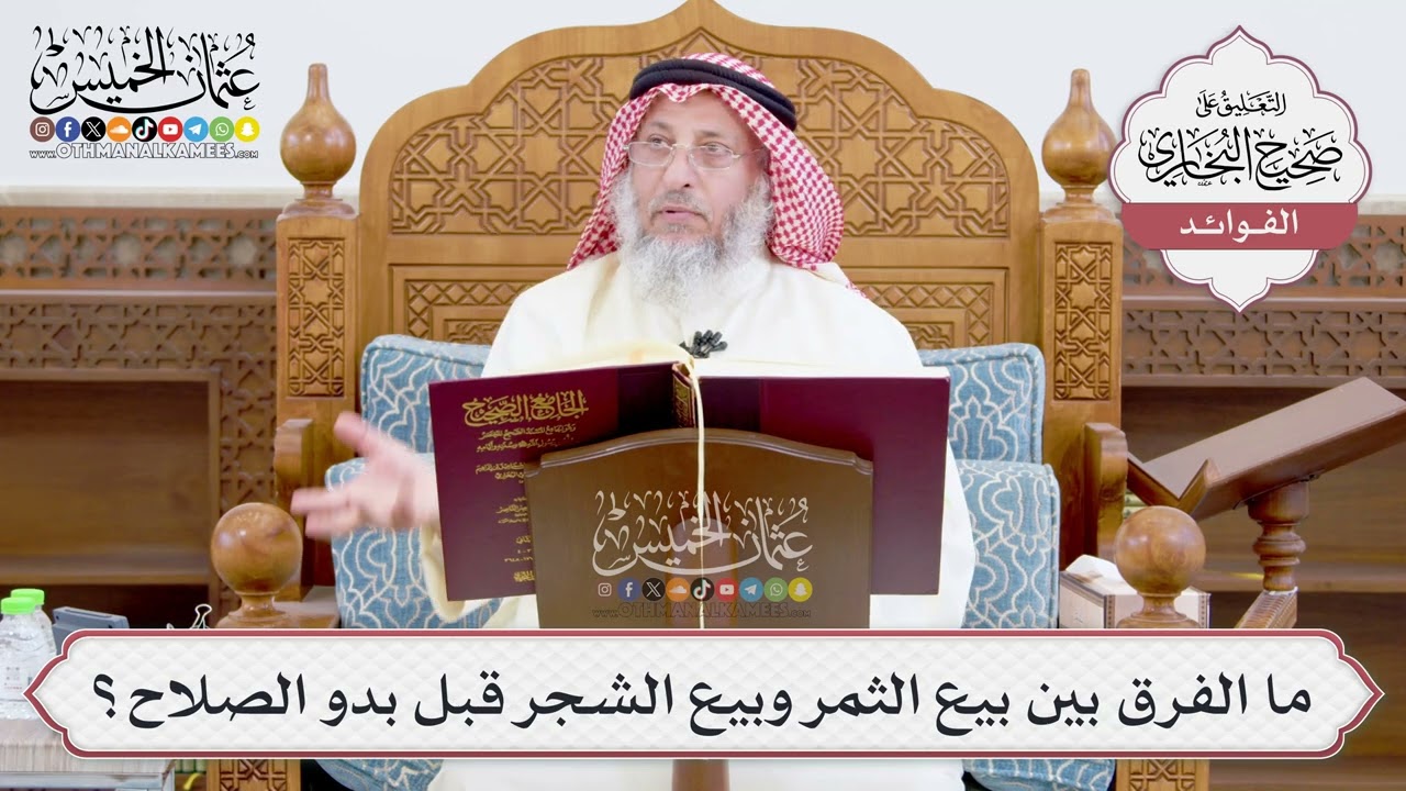 [938] ما الفرق بين بيع الثمر وبيع الشجر قبل بدو الصلاح؟ - عثمان الخميس