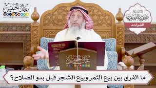 [938] ما الفرق بين بيع الثمر وبيع الشجر قبل بدو الصلاح؟ - عثمان الخميس