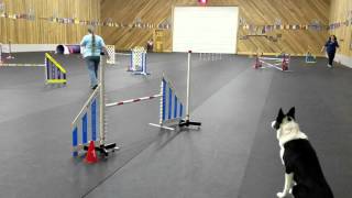 Colds 1st novice standard run