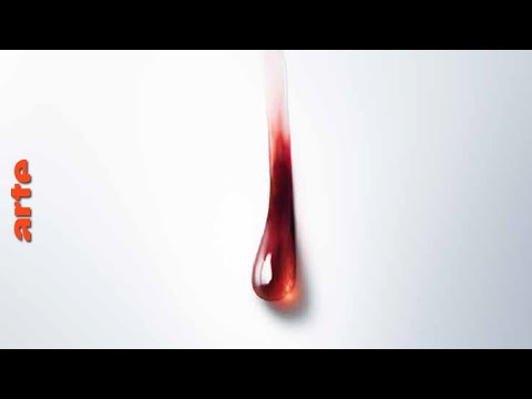 La série "Il Miracolo" de Niccolò Ammaniti en intégralité sur arte.tv jusqu'au 25.02 | BA presse