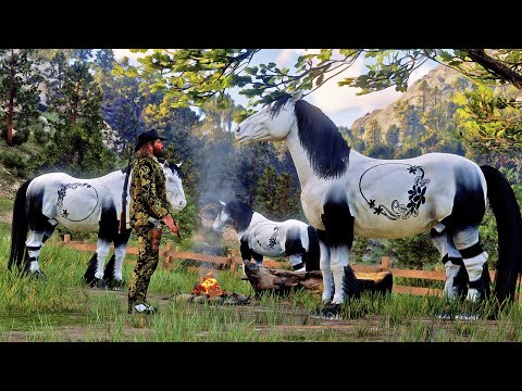 Arthur Finds the Most Beautiful Black & White Shadow Vine Horses at Parmody Dell Ranch | Rare Horses