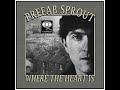 Prefab Sprout - Where The Heart Is (2000)