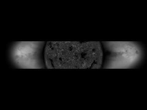 Absztrakkt - leckere Nusskuchenstücke (W&F Exclusive)