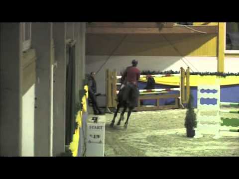 New Star - M-Springpferde Prüfung am Reittunier Boll National 2011 (05.11.2011)