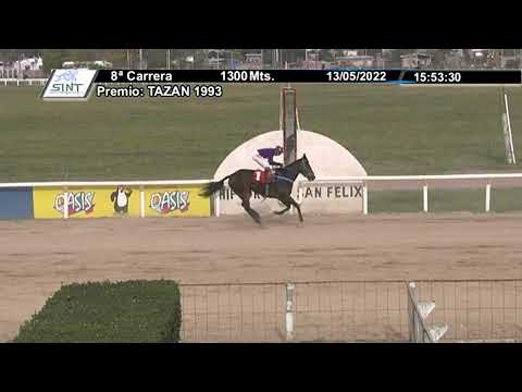 SINT PAYSANDU - 220513 c08 -  1° HUMORISTA