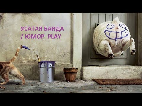 УСАТАЯ БАНДА / ЮМОР_PLAY