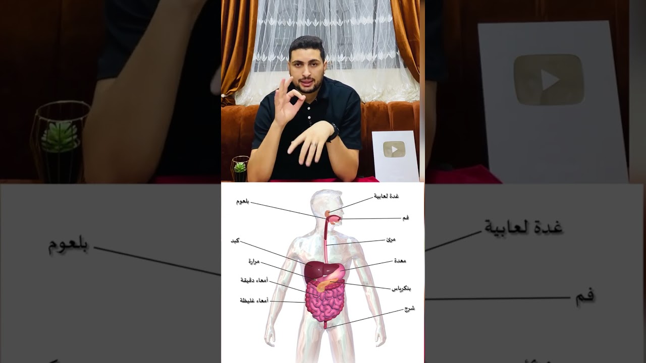 الجهاز الهضمي 