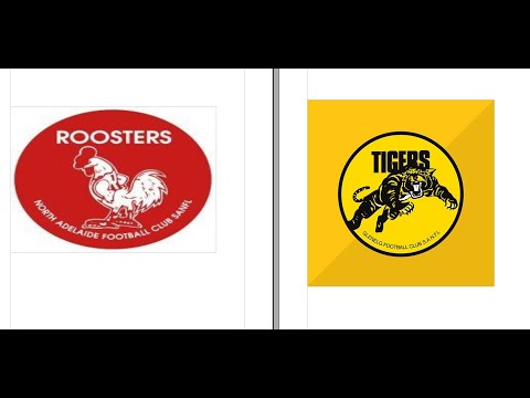 1986 GRAND FINAL GLENELG VS NORTH ADELAIDE (HIGHLIGHTS)