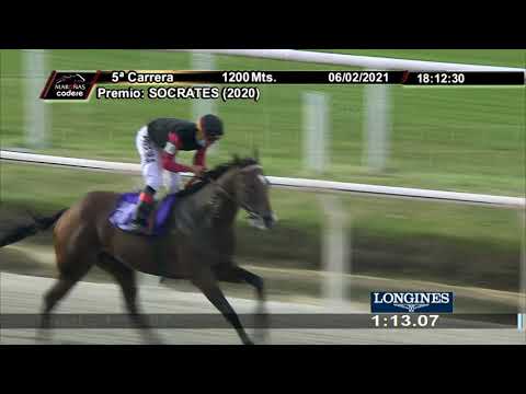 210206 c05 ALTANERA BATI