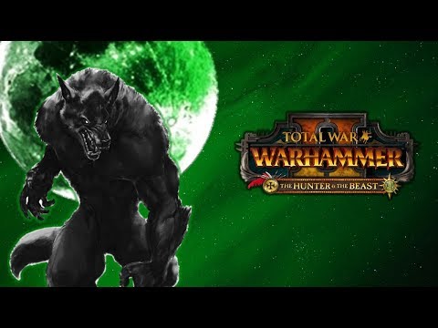 WHO LET THE DOGS OUT!? - Werewolves vs. Clan Eshin Ninjas - Total War Warhammer 2