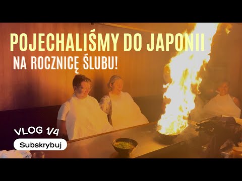 Vlog: Our Wedding Anniversary in Japan!